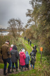 Wandelen door de Biesbosch van VVV Biesboschlinie