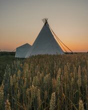 Packrafttrail Biesbosch van VVV Biesboschlinie