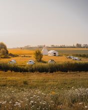 Packrafttrail Biesbosch van VVV Biesboschlinie