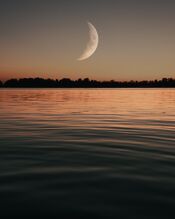 Nacht in de Biesbosch van VVV Biesboschlinie