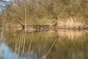 Biesbosch van VVV Biesboschlinie