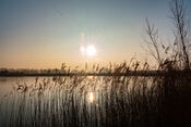 Biesbosch van VVV Biesboschlinie