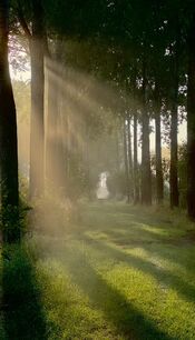 Pompveld van VVV Biesboschlinie