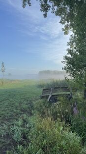 Pompveld van VVV Biesboschlinie