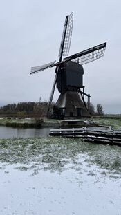 Molen van VVV Biesboschlinie