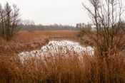 Aakvlaai Biesbosch van VVV Biesboschlinie