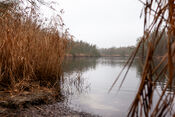 Aakvlaai Biesbosch van VVV Biesboschlinie