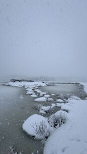 Sneeuw in het Pompveld van VVV Biesboschlinie