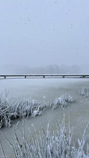 Sneeuw in het Pompveld van VVV Biesboschlinie