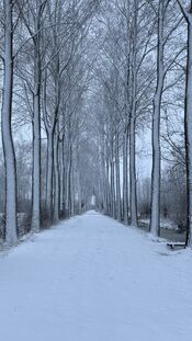 Sneeuw in het Pompveld van VVV Biesboschlinie