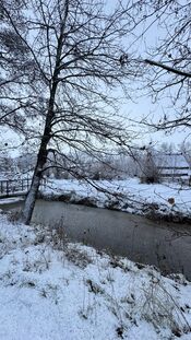 Sneeuw in het Pompveld van VVV Biesboschlinie