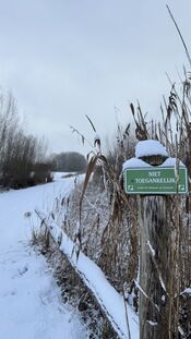 Sneeuw in het Pompveld van VVV Biesboschlinie