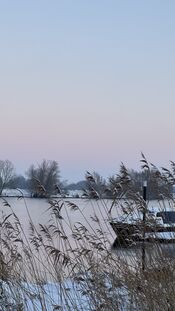 Sneeuw bij de Afgedamde Maas van VVV Biesboschlinie