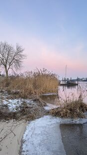 IJs bij de Afgedamde Maas van VVV Biesboschlinie