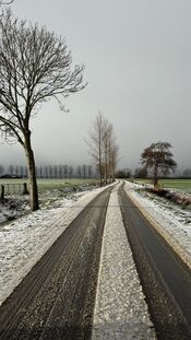Sneeuw in de Biesboschlinie van VVV Biesboschlinie