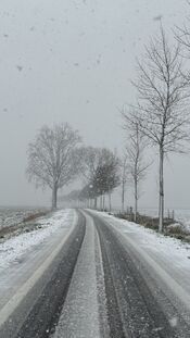 Sneeuw in de Biesboschlinie van VVV Biesboschlinie