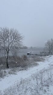Sneeuw bij de Afgedamde Maas van VVV Biesboschlinie