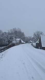 Sneeuw op de dijk van VVV Biesboschlinie