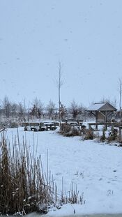 Sneeuw in het Pompveld van VVV Biesboschlinie