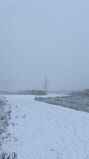 Sneeuw in het Pompveld van VVV Biesboschlinie