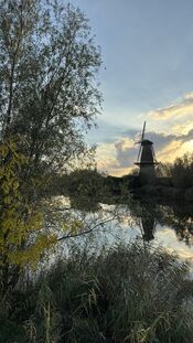 Molen 'Nooit Gedagt' Woudrichem van VVV Biesboschlinie