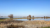 Cloppenwaard Werkendam van VVV Biesboschlinie