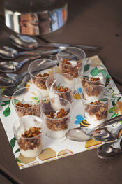 BiesboschLinie Foodtour toetjes van The Honeybin van VVV Biesboschlinie