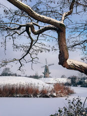 Molen 'Nooit Gedagt' in de sneeuw van VVV Biesboschlinie