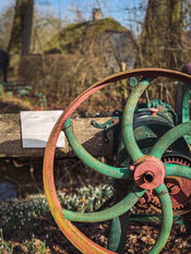 Details in het Duyls Bos van VVV Biesboschlinie