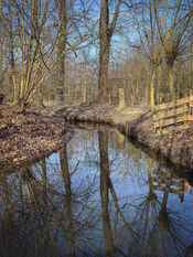 Duyls Bos van VVV Biesboschlinie