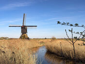 Uitwijkse molen van VVV Biesboschlinie