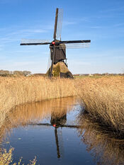 Uitwijkse molen van VVV Biesboschlinie