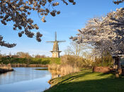 Molen 'Nooit Gedagt' in de lente van VVV Biesboschlinie
