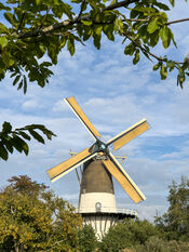 Molen 'De Hoop', Veen van VVV Biesboschlinie