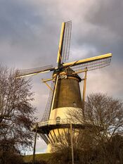 Molen De Hoop in Veen van VVV Biesboschlinie