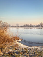 Winter aan de Maas in Veen van VVV Biesboschlinie