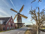Molen De Hoop in de lente van VVV Biesboschlinie
