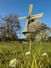 Molen De Hoop in de lente van VVV Biesboschlinie