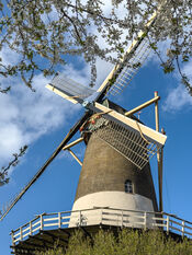Molen De Hoop in de lente van VVV Biesboschlinie