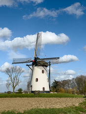 De Witte Molen in Meeuwen van VVV Biesboschlinie
