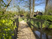 Lente in Duyls Bos van VVV Biesboschlinie