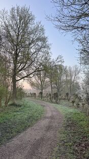 Almbos van VVV Biesboschlinie
