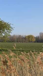 Buitengebied Uitwijk-Giessen van VVV Biesboschlinie