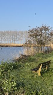 Wijde Alm, Uitwijk van VVV Biesboschlinie