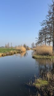 Wijde Alm, Uitwijk van VVV Biesboschlinie