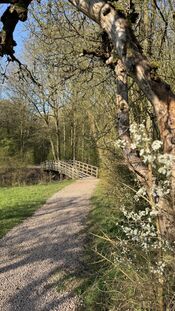 Almbos, Giessen van VVV Biesboschlinie