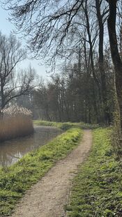 Wandelpad Almbos van VVV Biesboschlinie