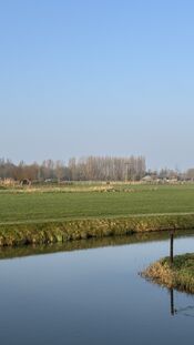 Buitengebied Giessen-Uitwijk van VVV Biesboschlinie