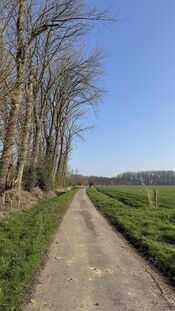 Buitengebied Giessen-Uitwijk van VVV Biesboschlinie