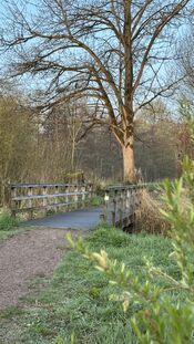 Entree Almbos van VVV Biesboschlinie